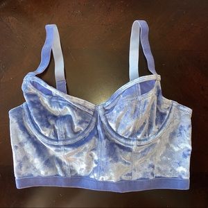 NWOT Free People Camille Velvet Blue Mesh Bra